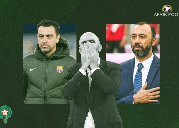 Maroc : 5 noms pour remplacer Walid Regragui comme sélectionneur