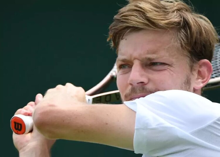 ATP > Goffin se met en mode Wawrinka : "Je n’ai pris aucune décision concernant ma retraite. Participer aux Grands Chelems reste l’objectif"
