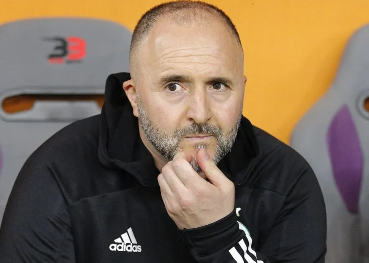 Algérie : Djamel Belmadi n’a pas touché un euro pour son limogeage