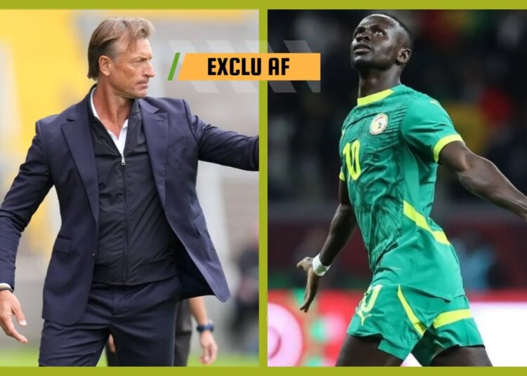 Le Sénégal face à l’Arabie Saoudite d’Hervé Renard avant la Coupe du monde ?