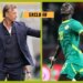 Le Sénégal face à l’Arabie Saoudite d’Hervé Renard avant la Coupe du monde ?