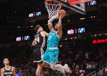 hornets hawks