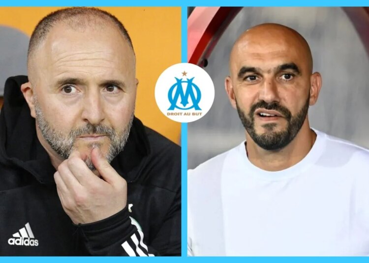 OM : l’éternelle rumeur Djamel Belmadi bientôt éclipsée par… Walid Regragui ?