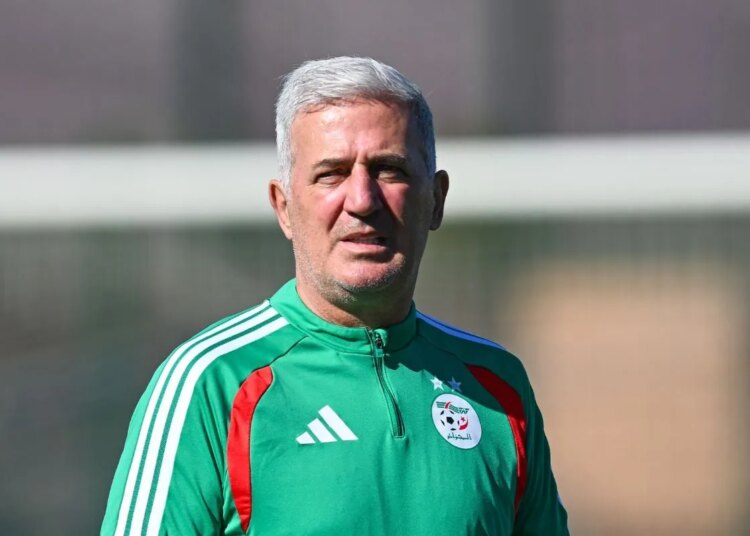 Algérie : un oublié de Petkovic déjà promis à la Premier League !