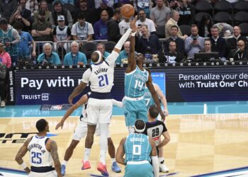 Les Hornets