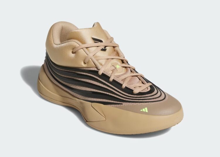 La Dame 10 « Bay-eige » reçue 10/10