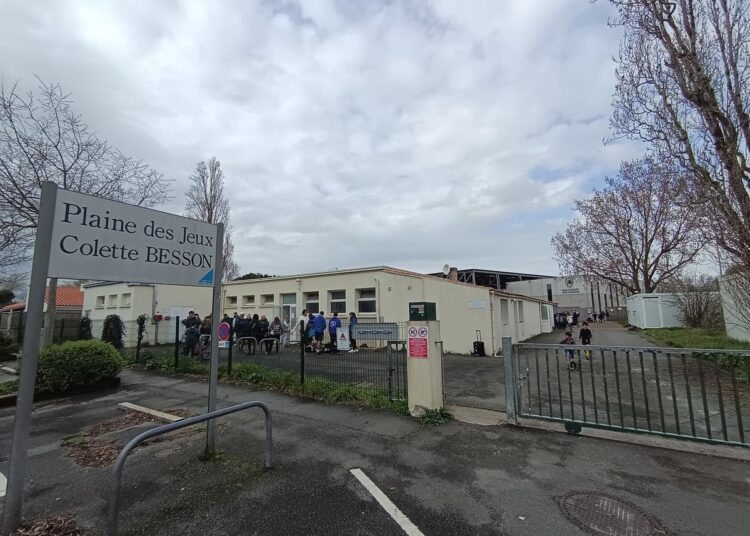 Le Stade Rochelais voit plus grand à la plaine des jeux Colette-Besson