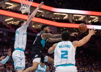 Les Hornets