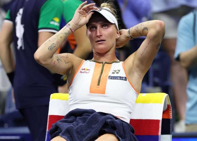 Logo Tennis World FR