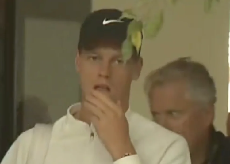 ATP - Rome, Vidéos > Jannik Sinner met fin au suspense avec une apparition très attendue