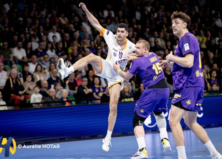 EDF (M) | Dika Mem et Elohim Prandi forfaits avec les Bleus, Pelecka et Plat en renfort