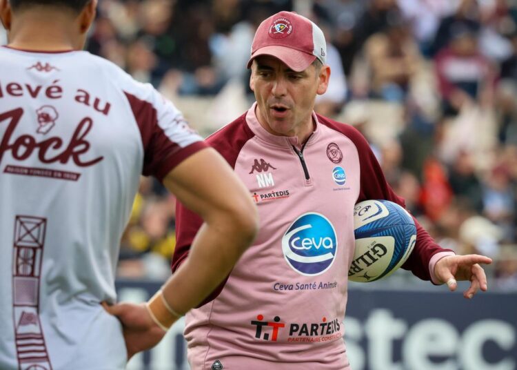 Finale Leinster - UBB : pour Noel McNamara, « la rigueur irlandaise est très importante mais on ne peut pas faire de copier-coller »