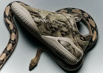 La SHAI 001 « Slither » poursuit sa mue