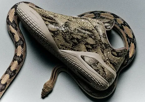 La SHAI 001 « Slither » poursuit sa mue