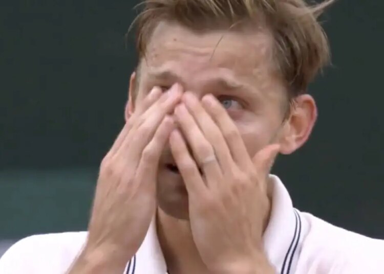 Roland Garros > David Goffin en pleurs garde son sens de l'humour : "Il me reste encore 9 matchs à gagner"