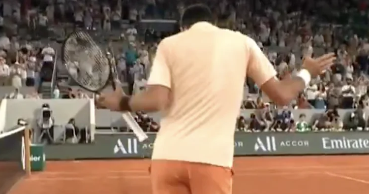 Roland Garros, Vidéos > La célébration très originale de Djokovic après sa victoire contre Mpetshi Perricard