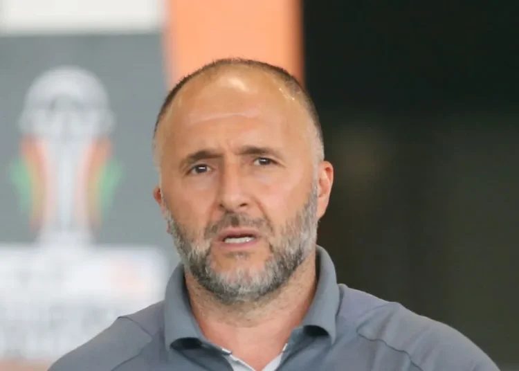 Saison blanche pour Djamel Belmadi, sur la sellette à Al Duhail ?