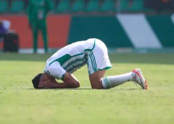 Algérie : énorme désillusion pour deux cadres historiques, laissés de côté par Petkovic pour la Coupe du monde ?