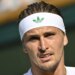 ATP - Halle > Zverev : "Comme Federer en son temps, je ne pense pas que Sinner en ait besoin. Moi, si"