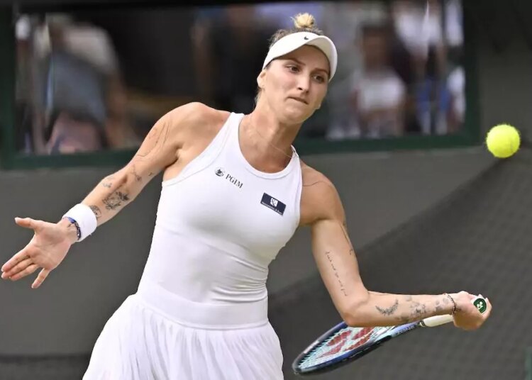 ATP - WTA > "La suspension de quatre ans infligée à Marketa Vondrousova est bien trop sévère. Où est passé le bons sens ?", s'indigne John Millman