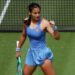 Logo Tennis World FR