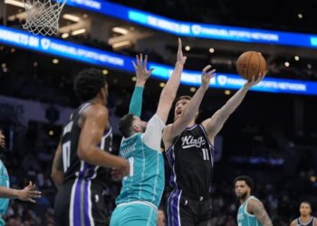 Les Hornets ont un œil sur Domantas Sabonis