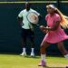 Logo Tennis World FR
