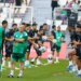 Pays-Bas-Algérie, sur quelle chaîne voir le match ?