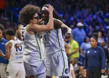 Pour la troisième fois de la saison, les Wings chutent face aux Lynx