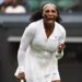 Roland Garros, WTA > Serena Williams invitée sur un nouveau tournoi, en attendant Wimbledon ?