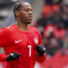 Suivez le match Canada-Bosnie-Herzégovine en direct