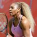 WTA > La grosse annonce de Rick Macci (ex-coach des soeurs Williams) : "Serena disputera le simple à Wimbledon, fera son apparition sur le court central et battra tous les records d'audience télévisée de ce sport"