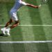Logo Tennis World FR