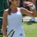 Logo Tennis World FR