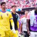 Espagne-Belgique, la terrible blessure !