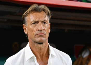 Hervé Renard et l'Algérie, c'est confirmé !