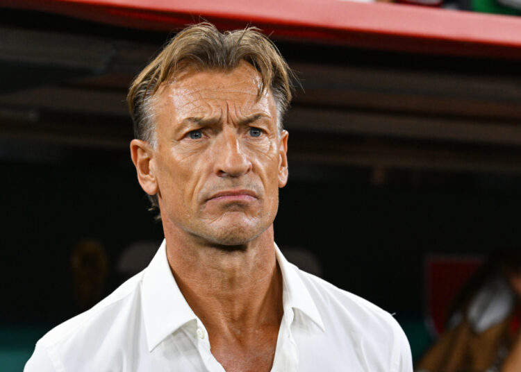 Hervé Renard et l'Algérie, c'est confirmé !