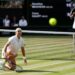 Logo Tennis World FR