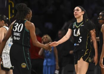 Le Sky craque face au duo Ogwumike–Hamby
