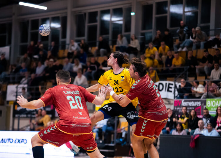 N1 Fédérale | Une descente de Proligue et deux montées : la poule 26/27 dévoilée