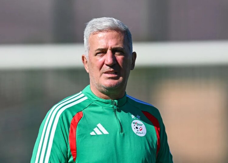 Algérie : Petkovic charge ses joueurs après l’échec à la Coupe du monde 2026 !