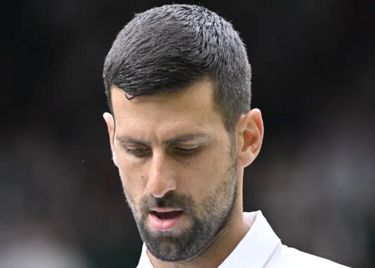 Wimbledon > Novak Djokovic, après sa qualification en quarts de finale : "Je m'excuse pour mes crises de nerf aujourd'hui"