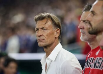 l’ex-bras droit d’Hervé Renard proposé pour succéder à Pape Thiaw