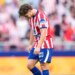 Affaire Julian Alvarez, l'Atlético Madrid fracasse le FC Barcelone !