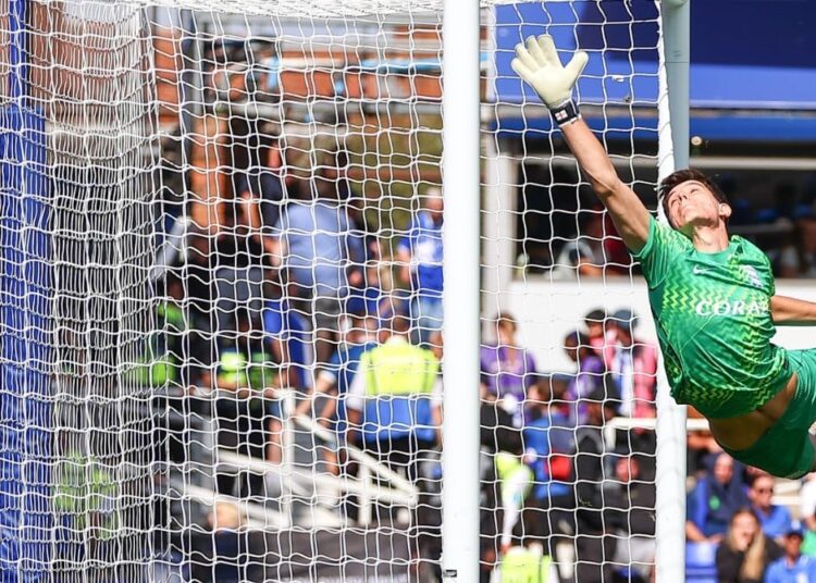 Arrêtez tout ! Le but de la saison a déjà été marqué (vidéo)