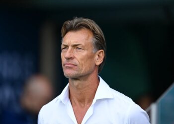 Hervé Renard explique pourquoi il a préféré les Eléphants
