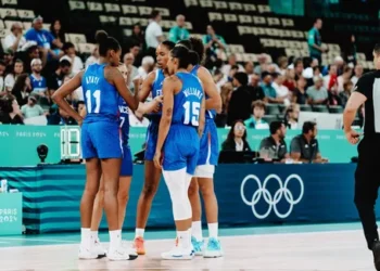 Huit WNBAers et seulement quatre places restantes chez les Bleues
