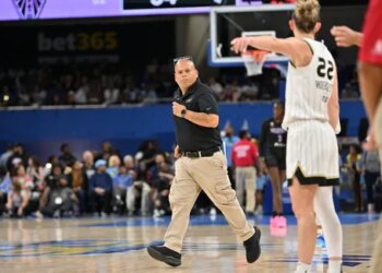 Les sex-toys sont de retour sur les parquets WNBA
