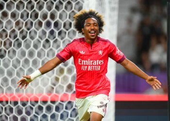 Pronostic Lyon – Fenerbahçe : L’OL est à un match de la Champions League (26/08/2026)