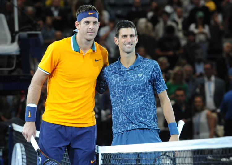 ATP > Del Potro très honnête avec Djokovic : "Même les grands joueurs comme lui doivent accepter cette réalité"